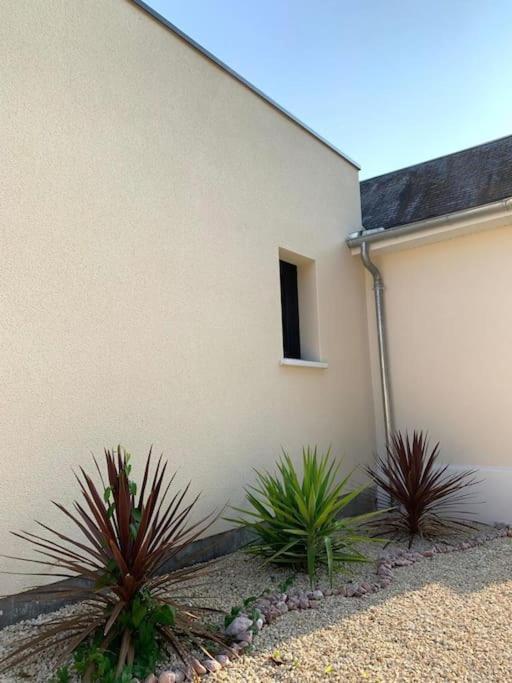 Villa Chic 3 Chambres ,2 Sdb Châtellerault Eksteriør bilde